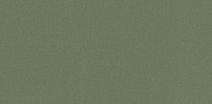 0842 Olive