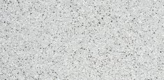 0268 Ermellino