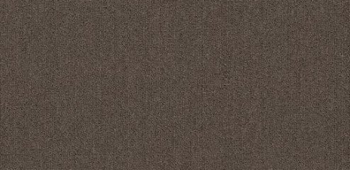Shaw Contract Group Ember Tile