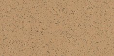 4623 Caraway