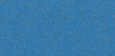 4627 Starflower