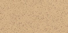 4621 Cassia