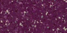 Purple 0149