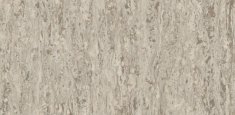 Natural Beige 0263