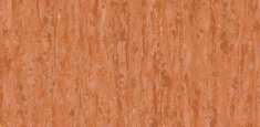 Red Orange 0258