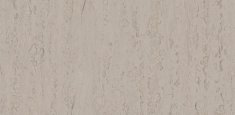 Soft Coll Beige 0209