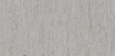 Soft Grey 0203