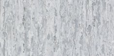 White Grey 0872