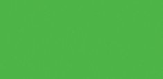 Rainforest 053