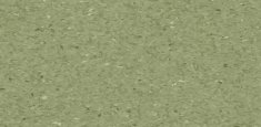 FERN 0405