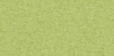 SOFT KIWI 0750