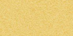 BANNANA 0751