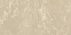 Ivory 601