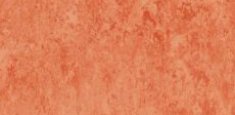 Salmon 642