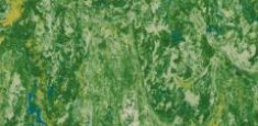 Grass 650