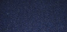 Costal Blue