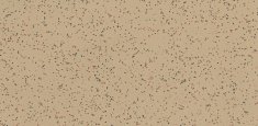 4622 Allspice