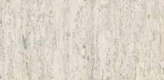 Grey White 0886