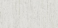 Soft Cool White 0202