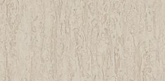 Soft Warm Beige 0208
