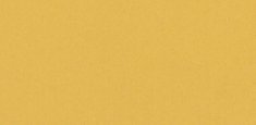 Yellow 036