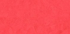 JAPUR PINK 221