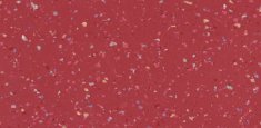 9725 Dark Berry