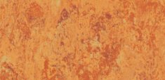 AMBER 636