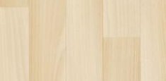 3503 025 Beech
