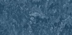 665 Ocean