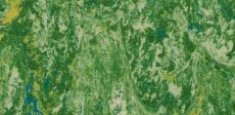 650 Grass