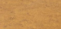 Tumeric 919