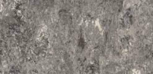 Tarkett Linoleum Veneto xf² 2.5 mm