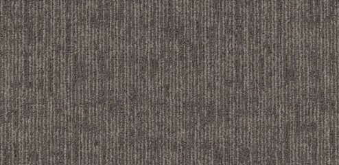 Modulyss First Absolute